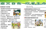 地震避災(zāi)知識