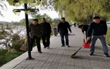向祖國獻禮，志愿活動在行動