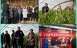 現(xiàn)代農(nóng)業(yè)技術(shù)系開展“喜迎己亥新春佳節(jié)、送科技送文化下鄉(xiāng)”主題黨日活動